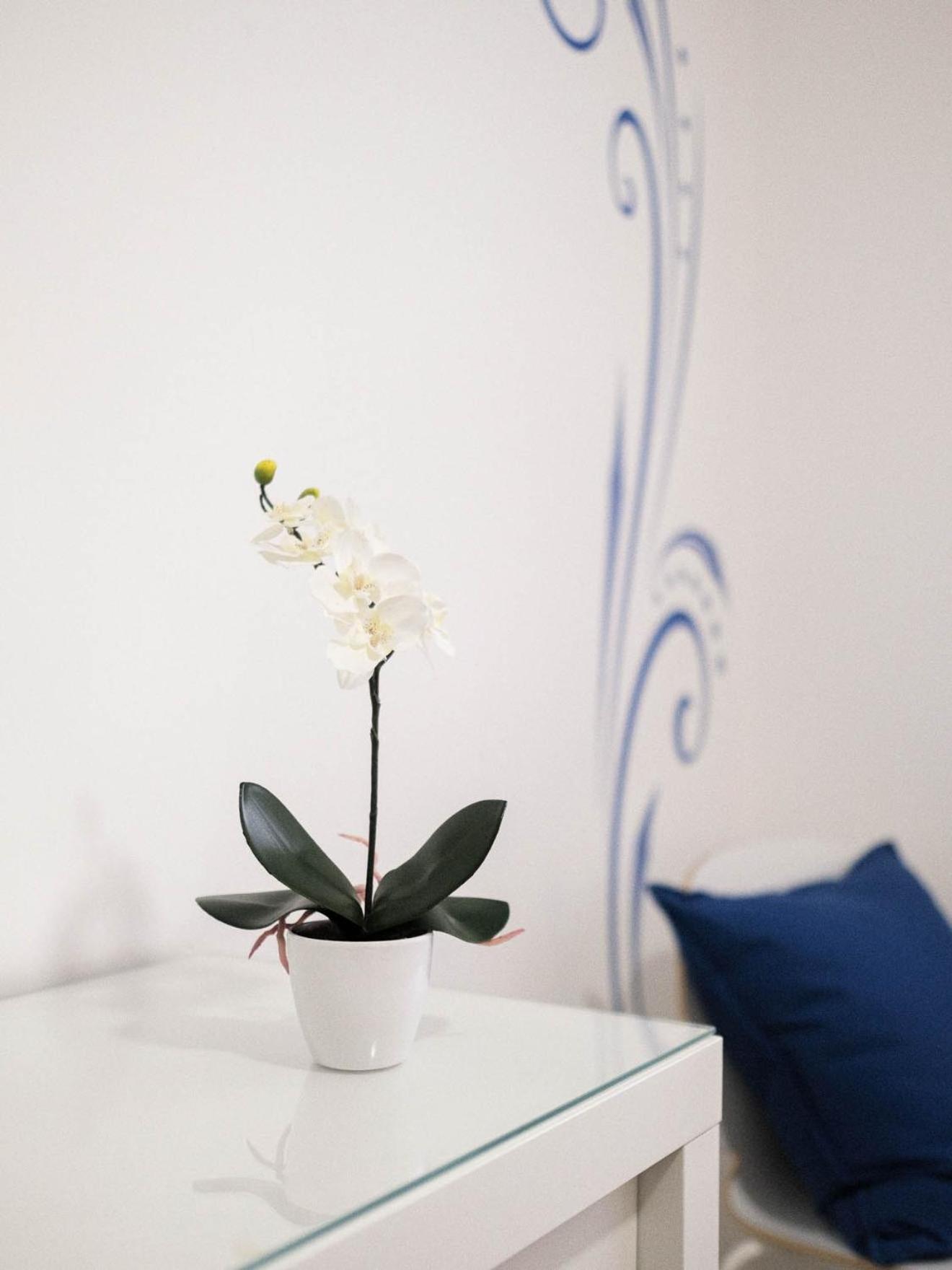 Cazenn Nazare - Apartment Z エクステリア 写真